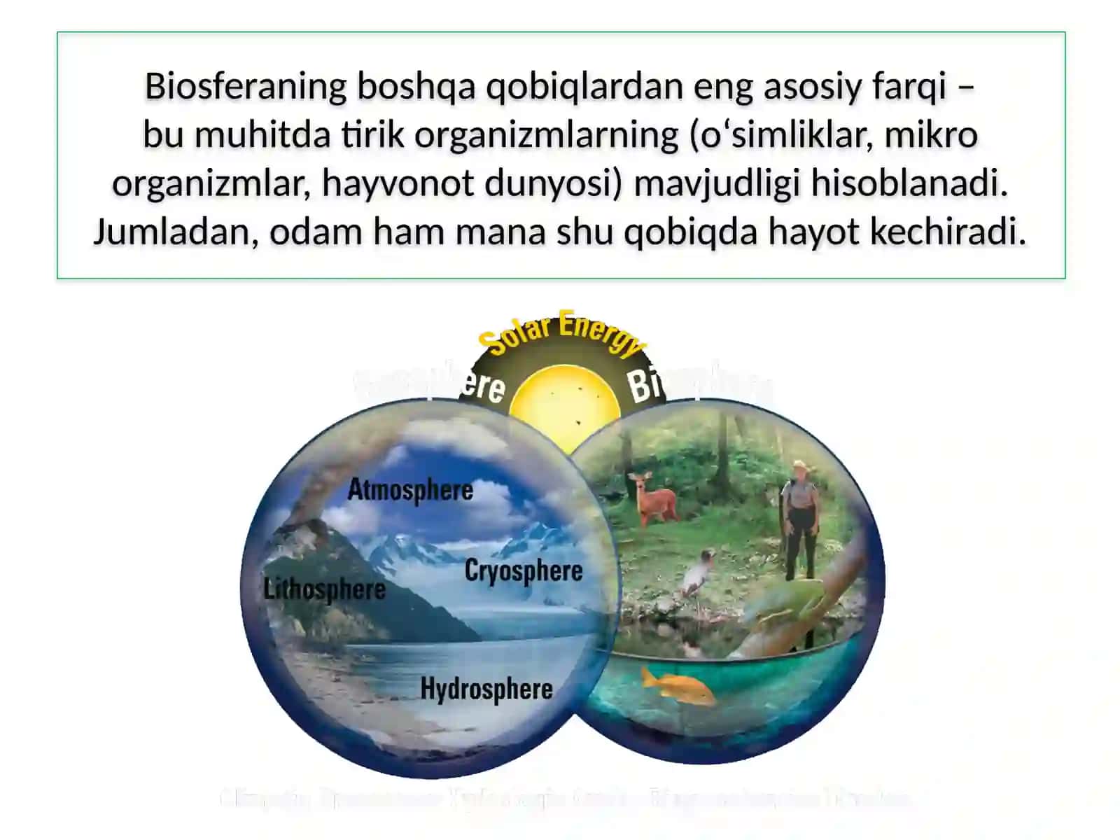 MAVZU.BIOSFERA 4