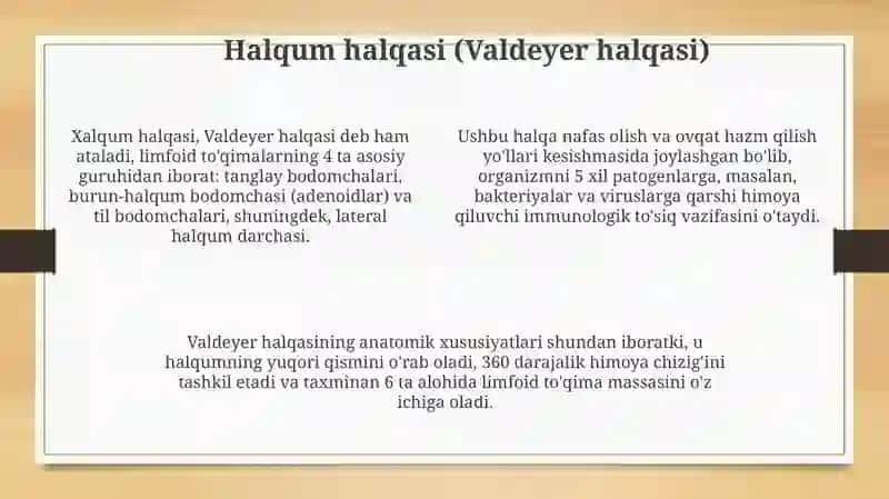 Hazm nayining limfoid tuzilmalari 4