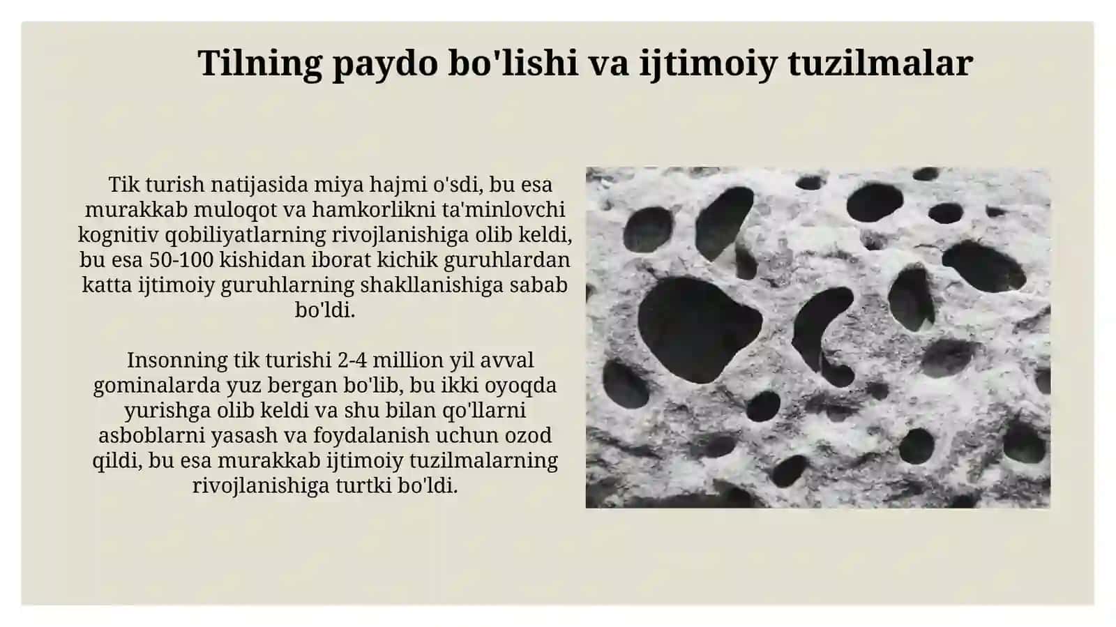 Antropogenezning umumiysavollari 4