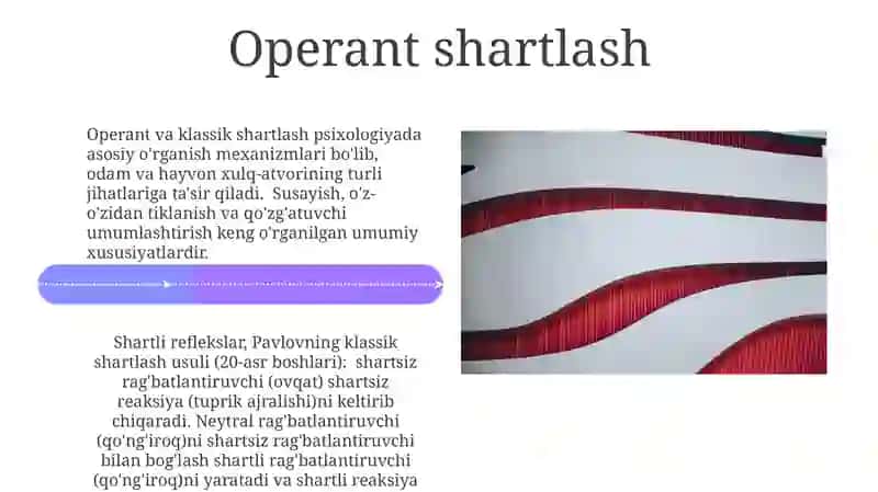 Shartli refleks 4