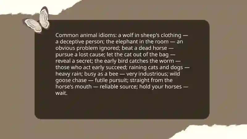 Idioms and phrases in English 4