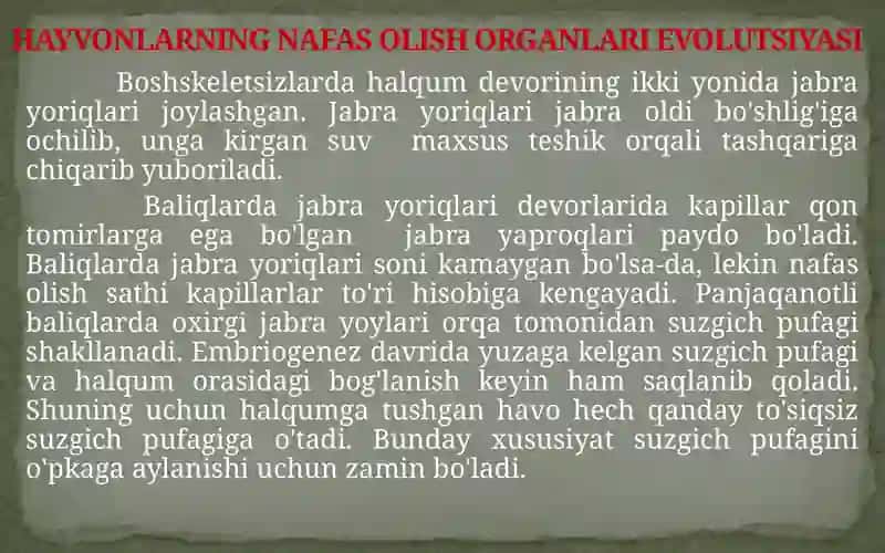 HAYVONLARNING NAFAS OLISH ORGANLARI EVOLUTSIYASI 4