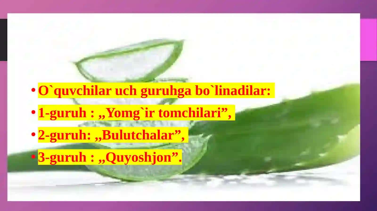 O`simliklar dunyosi 4