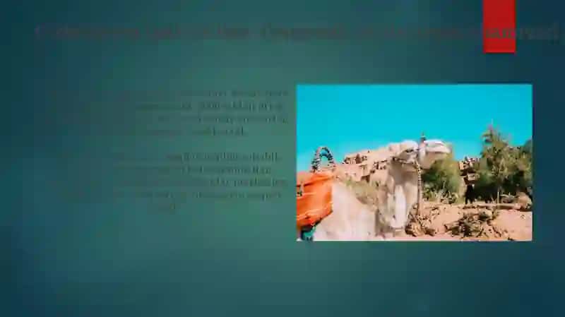 Buyuk Ipak Yoʻli: Tarixiy Umumiy Ko'rinish 4
