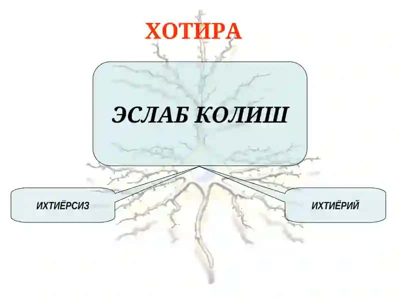 Хотира 4
