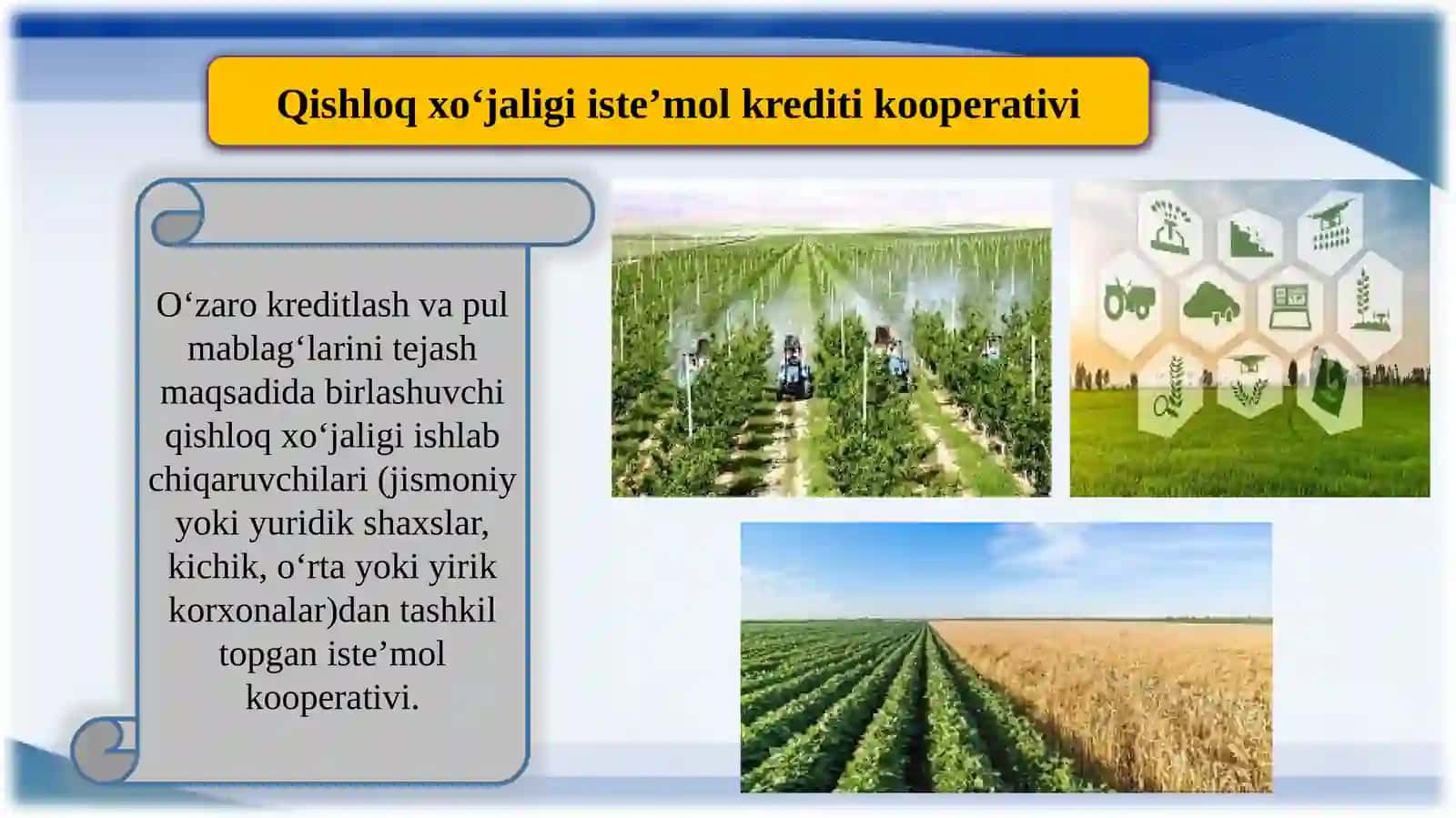 Qishloq xo'jaligida kredit kooperatsiyasi 4