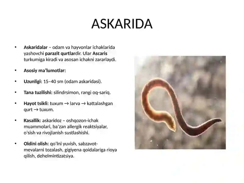 Degelmintizatsiya 4