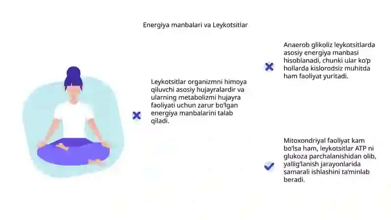 Leykotsitlar metabolizmi 4