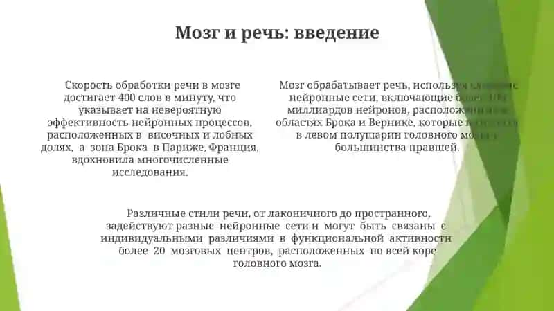Головной мозг.Стили речи 4