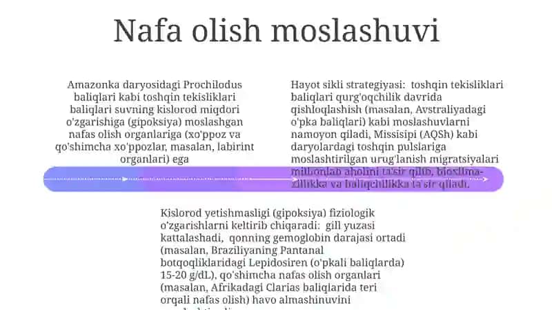 Daryo bo'yi baliq jamoalari 4