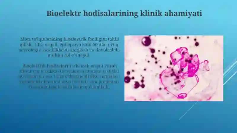Qo’zg’aluvchan to’qimalarda bioelektrik xodisalar 4