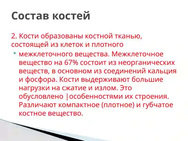 Опорно–двигательная система 4