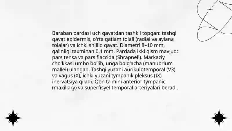 Eshtish va muvozanat a’zolari anatomiyasi 4