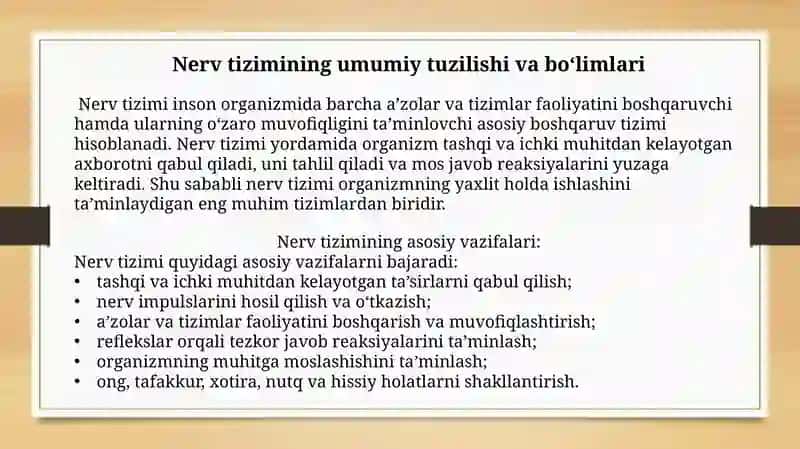 Nerv Tizimi: Orqa Miyan 4