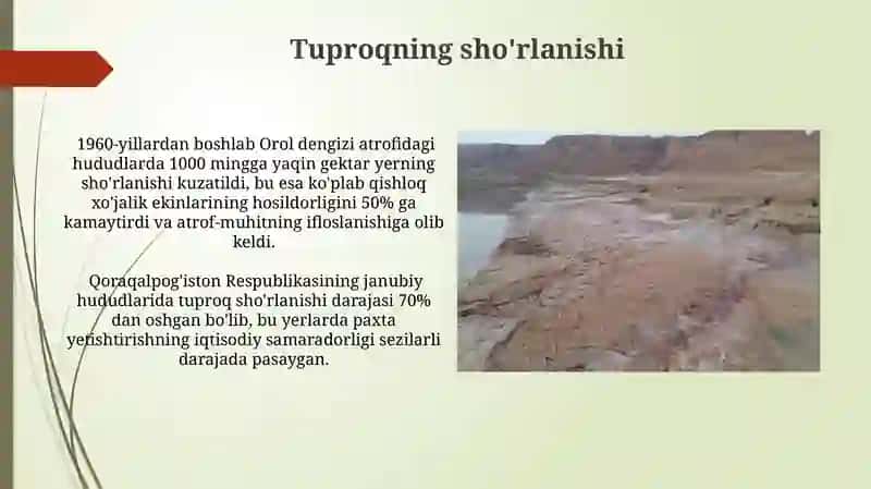 Orol dengizi fojiasi sabablari 4