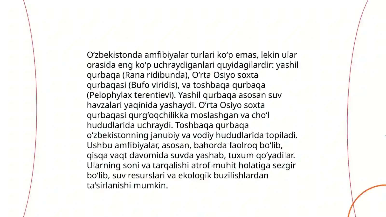 Oʻzbekistonda uchraydigan amfibiyalar 4