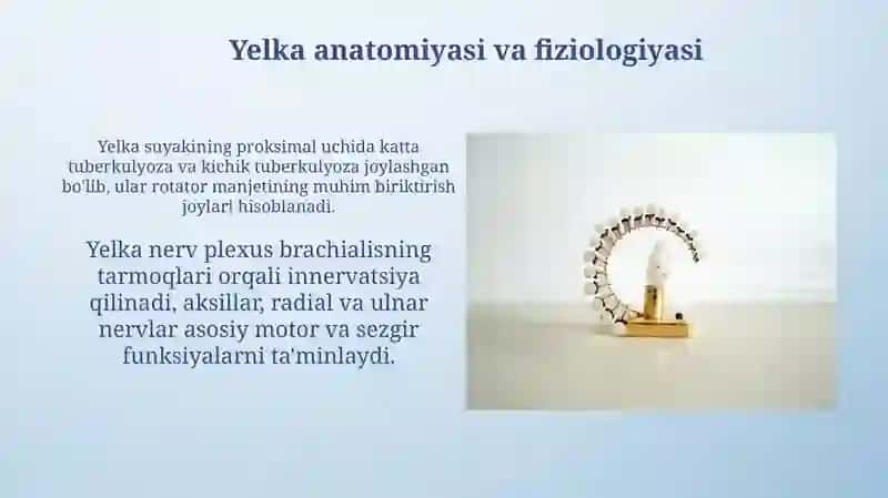 Yelka va son suyagi chiqishlari 4