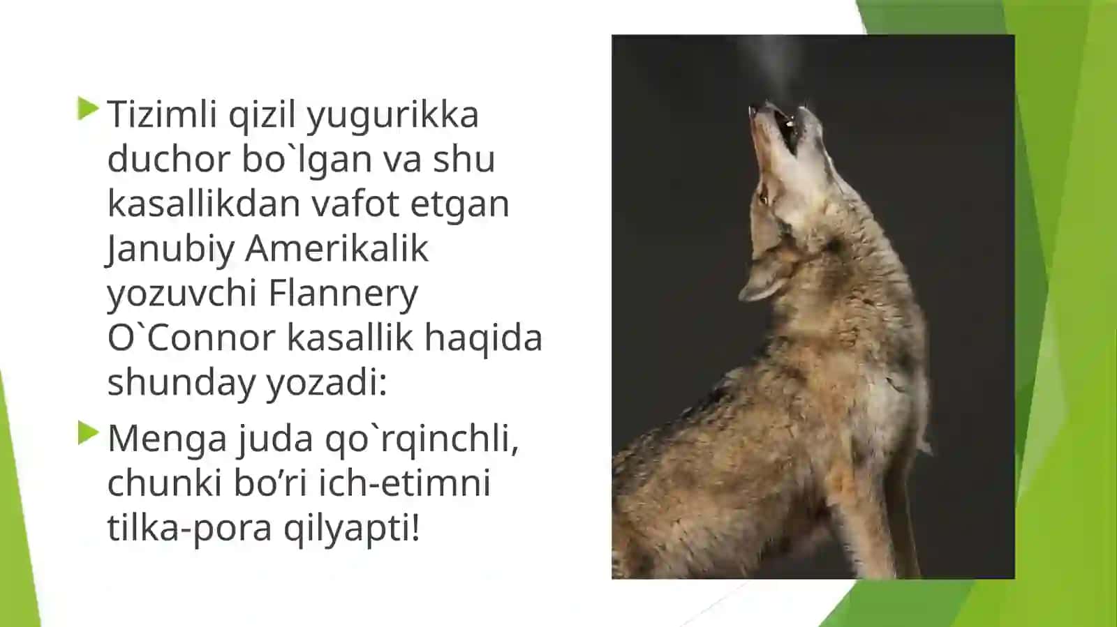 Tizimli qizil yugurik 4