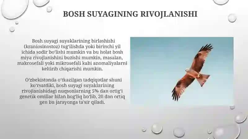 Sog'lomlashtirish choralari 4