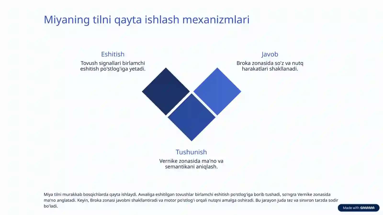 Neyrolingvistika: Til va Miya Aloqasi 4