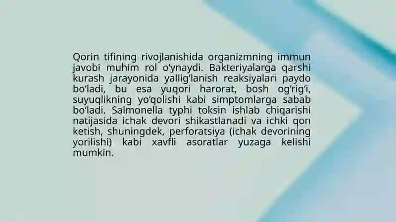 Qorintifi 4