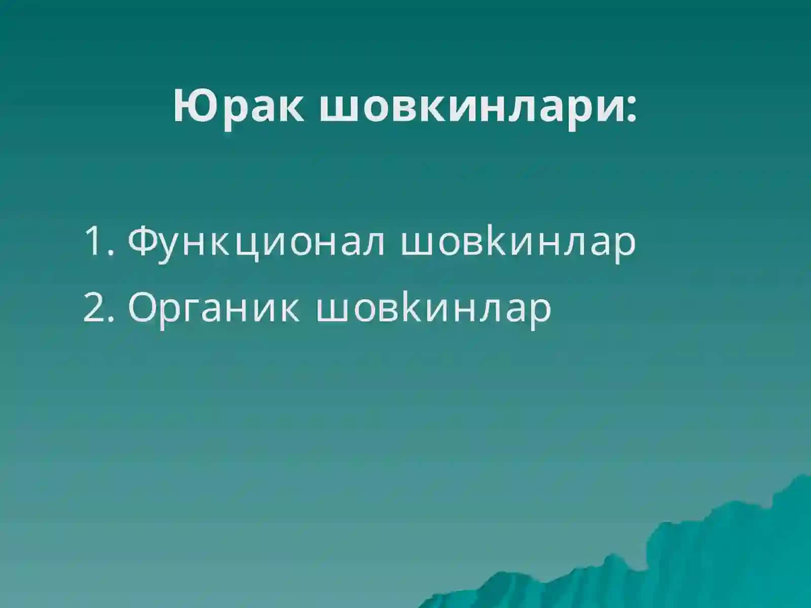 Юракда шовкин синдроми: тугма ва орттирилган юракнуксонлари 4