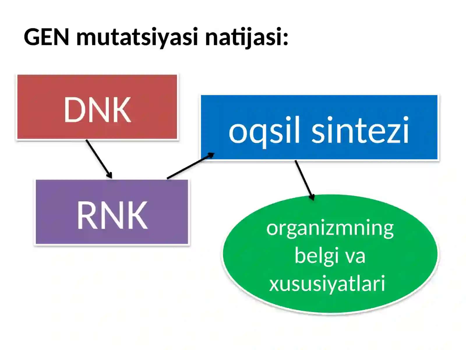 Xromosoma mutatsiyalari 4