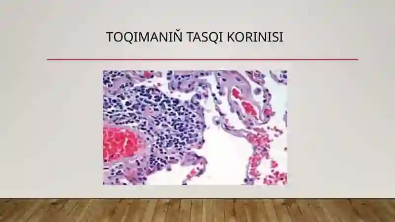 Oʻsimlik Toqımaları 4