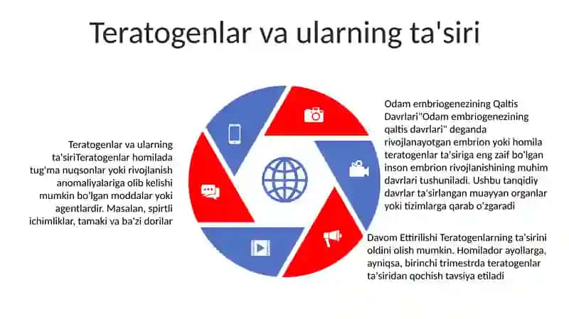 Odam Embriogenezining Qaltis Davrlari 4