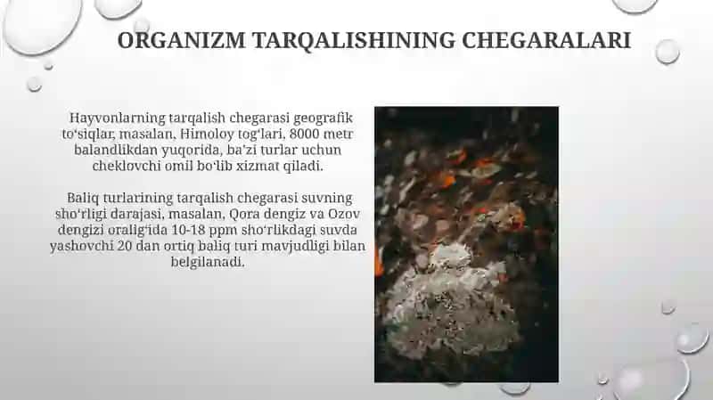 Organizmlarni tarqalish qonuniyatlari 4