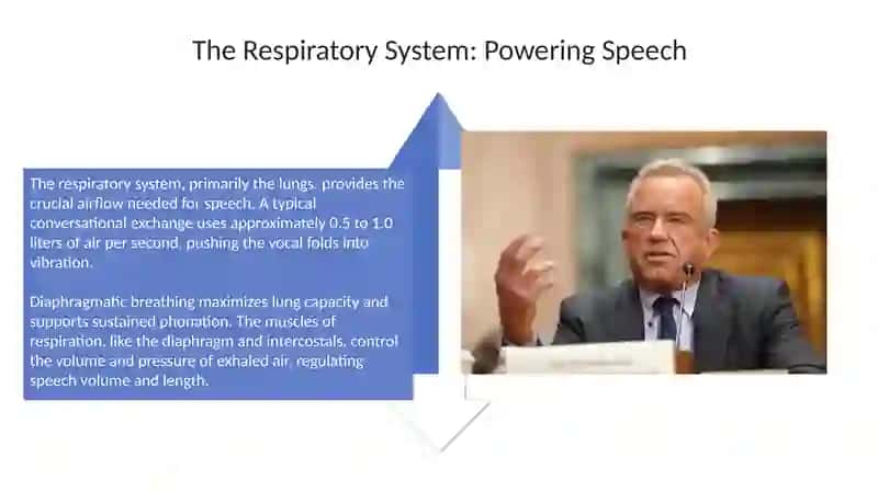 The Organs of Speech 4