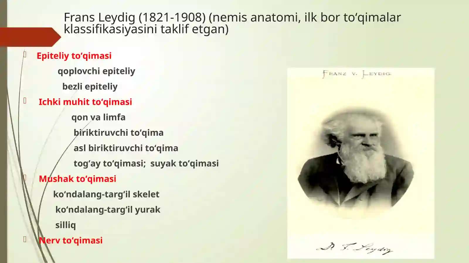 To’qimalar haqidagi ta'limot 4