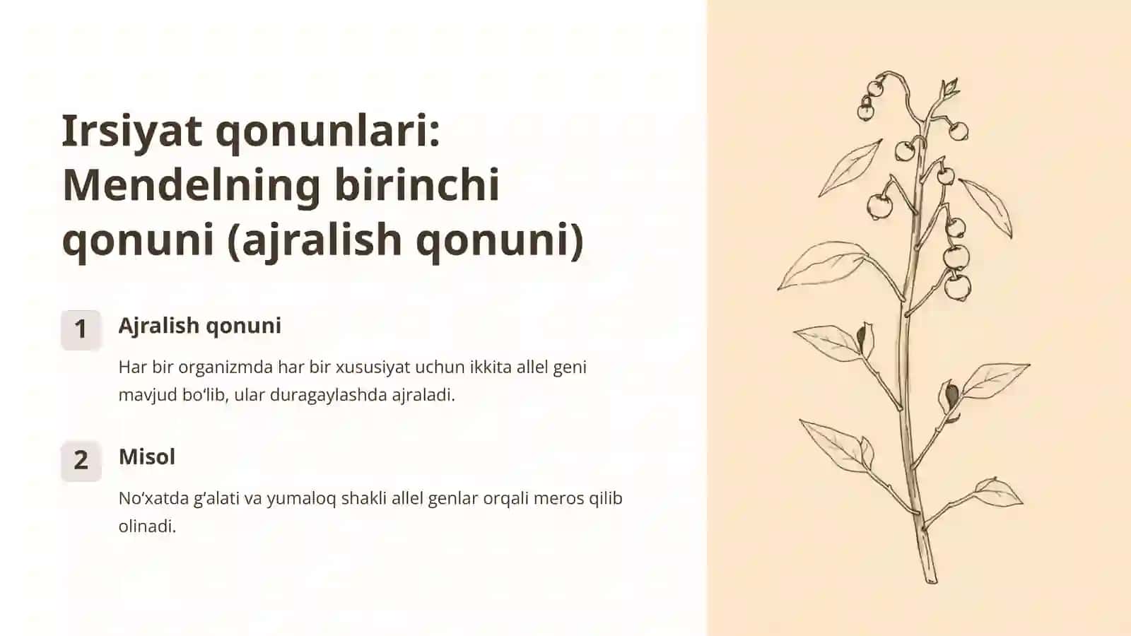 Duragaylashda Irsiyat Qonunlari 4