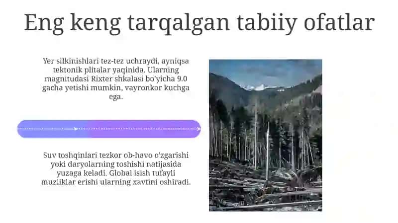 Tabbiytusdagifavqulotdavaziyatlar 4