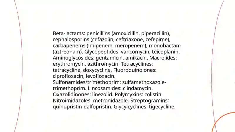 Mechanisms of Action of Antibiotics 4