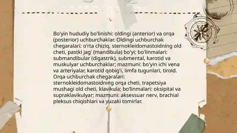 Bo'yin sohasining klinik anatomiyasi 4