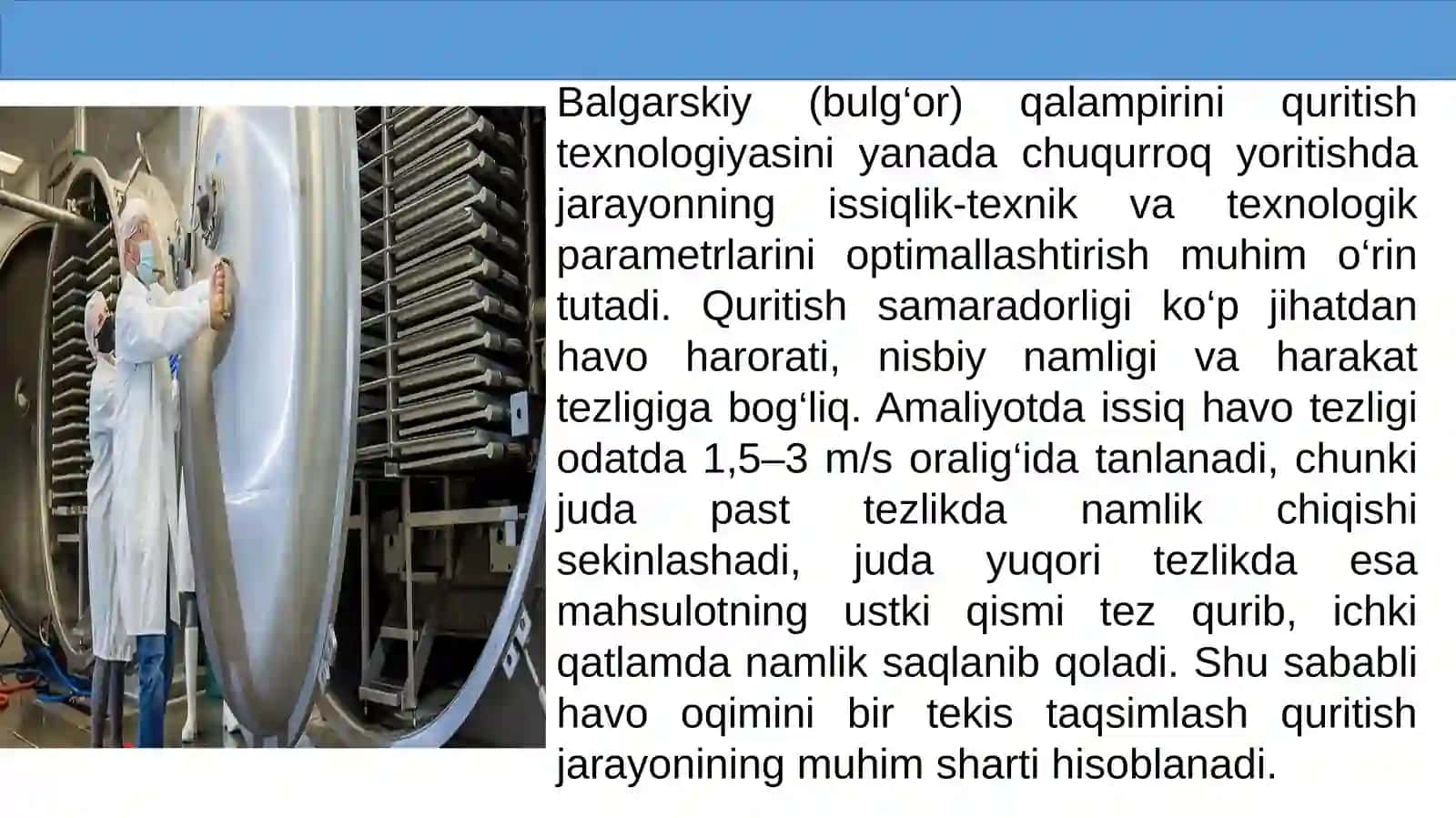 Bulgʻor qalampiri quritish texnalogiyasi 4