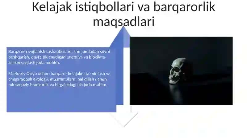 O'zbekistonning Ekologik Muammolari 4