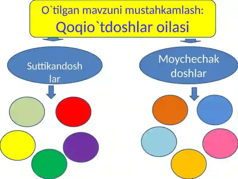 Loladoshlar oilasi 4