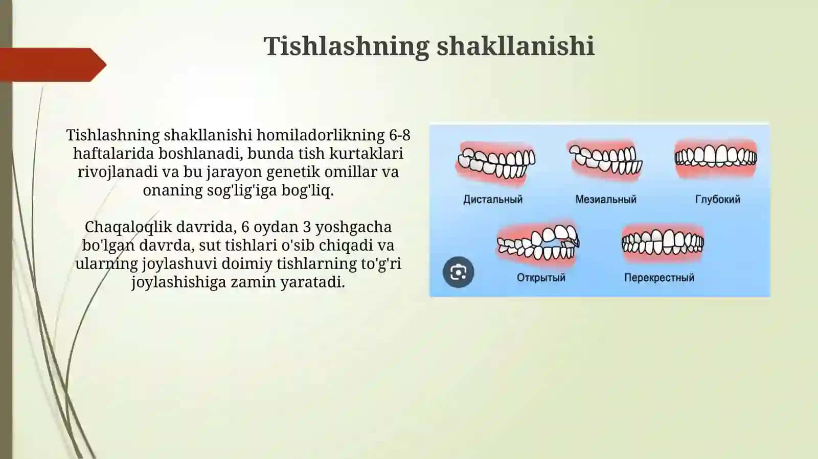 Tishlash tushunchasi 4