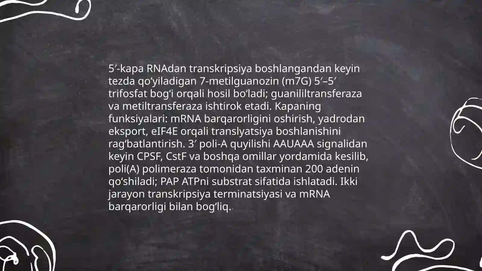 Eukariotlarda Oqsil biosintezi 4