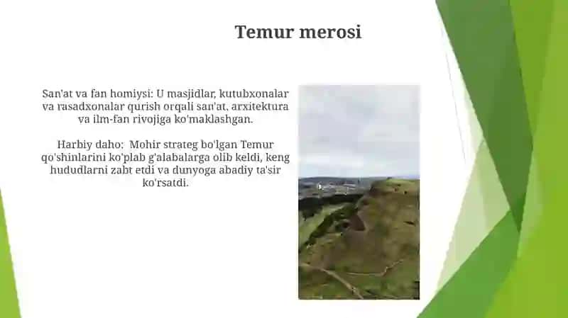 Amir-Temur Buyuk Davlat Arbobi 4