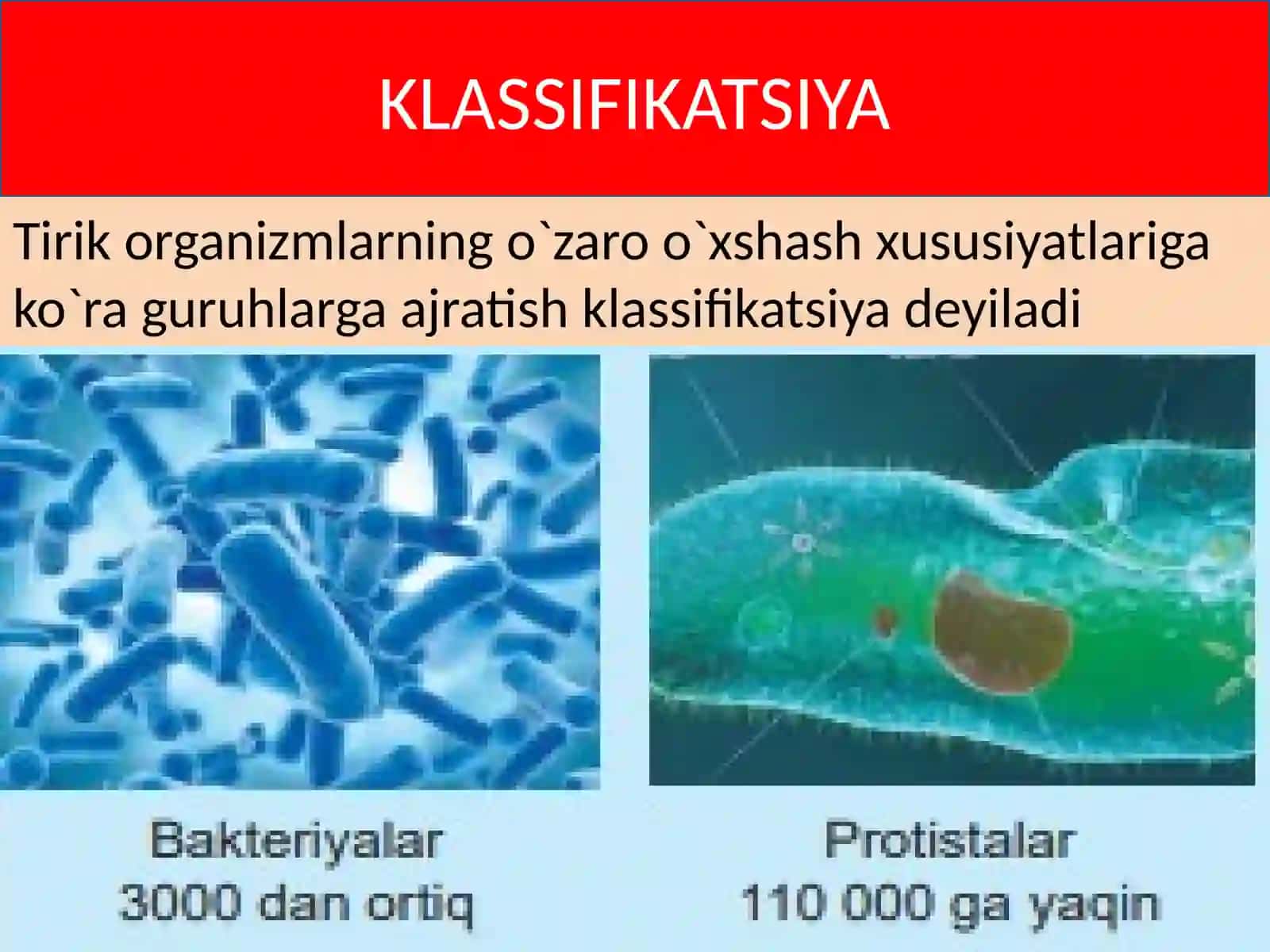 Tirik organizmlarning klassifikatsiyasi 4