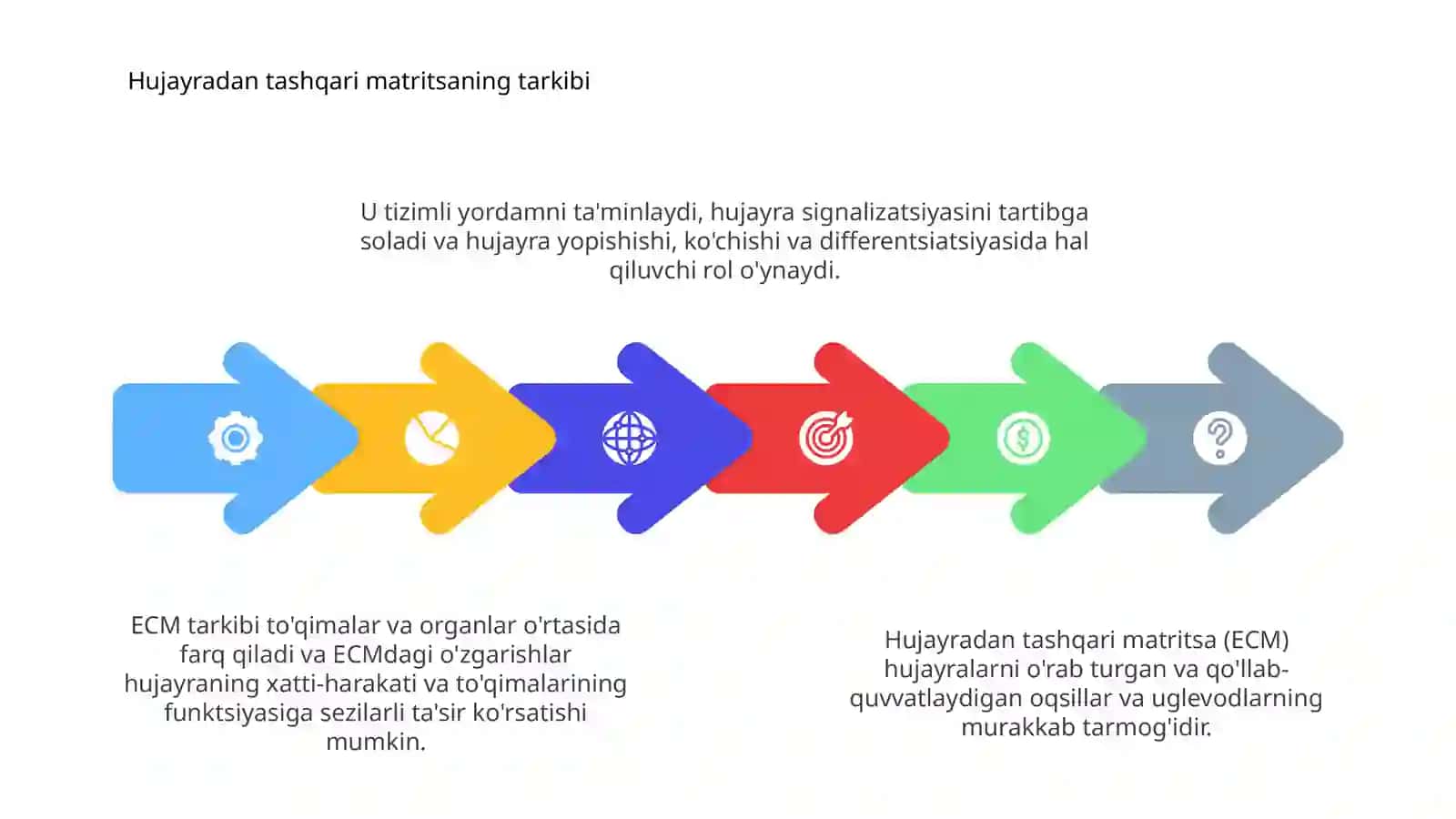 Hujayra va hujayradan tashqari matriks orasidagi munosabatlar 4