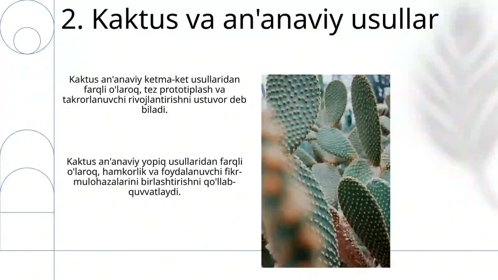 “Kaktus” metodikasi haqida 4