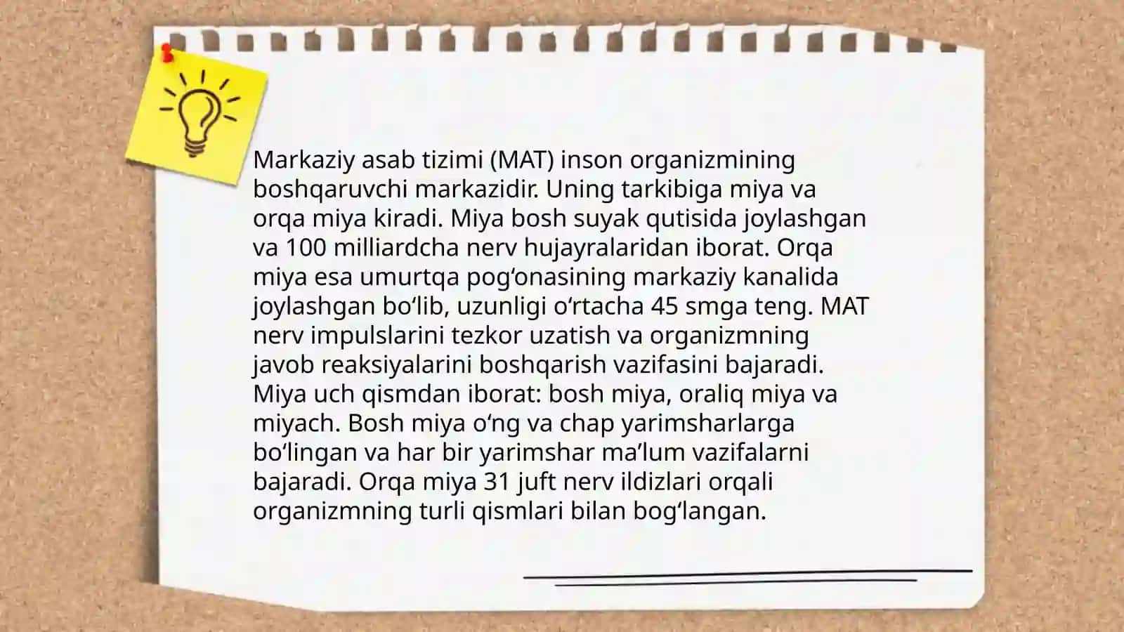 Oliy nerv faoliyati tiplarini o‘rganish 4