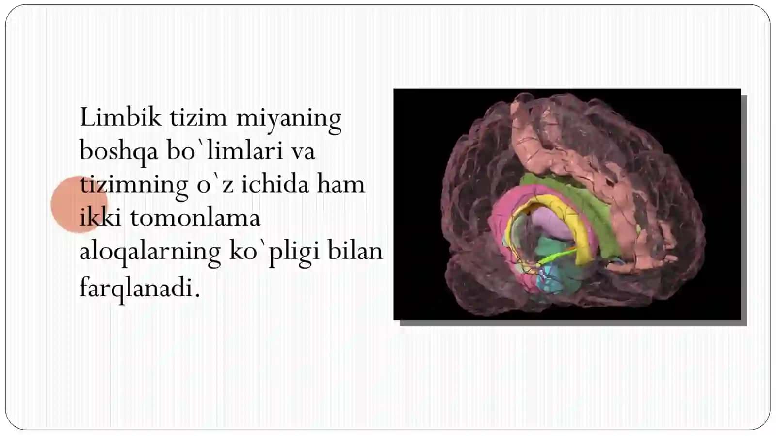 LIMBIK TIZIMI VA UNING GENEZI 4
