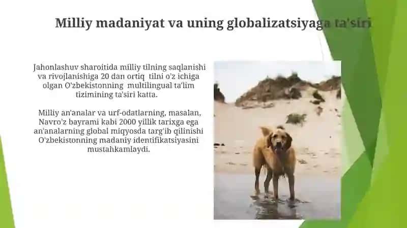 Globalizatsiya jarayonida milliy o'zlikni saqlash muammolari 4