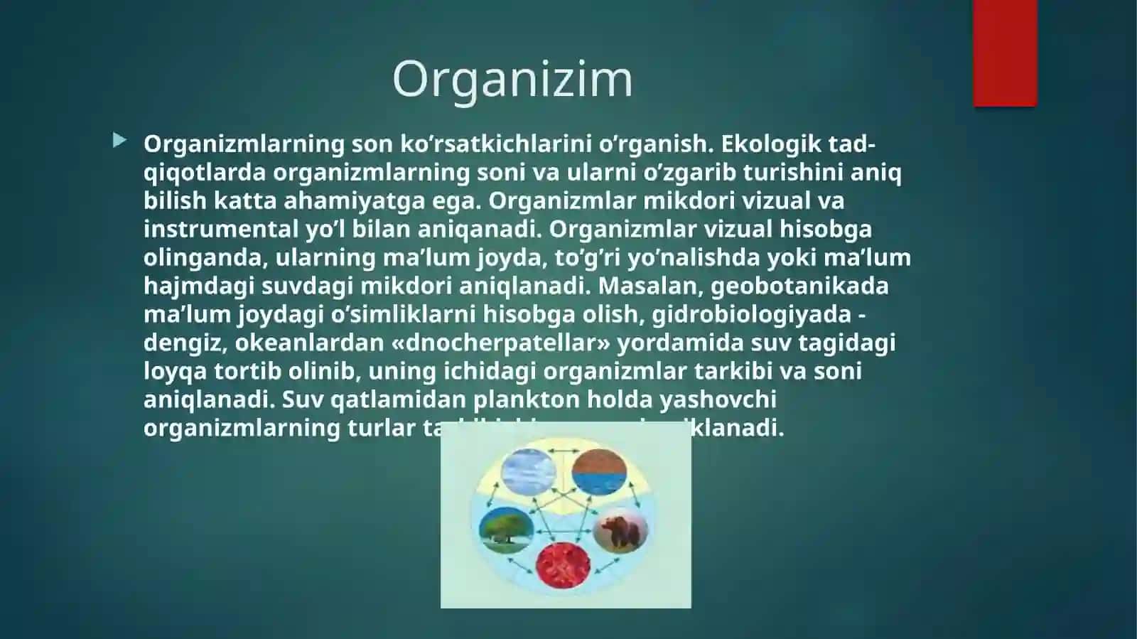 ekologiya modellari 4