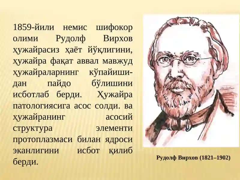 Ҳуҷайра биологиясини ўрганиш 4